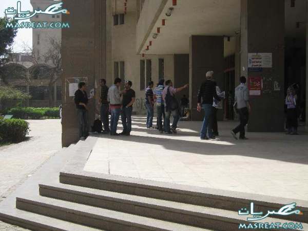 نتيجة طب اسنان عين شمس