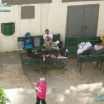 نتيجة كليات جامعة عين شمس 2011