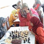 نتائج جامعة المنيا 2012 - 2013 نتيجة الترم الاول لكل كلية