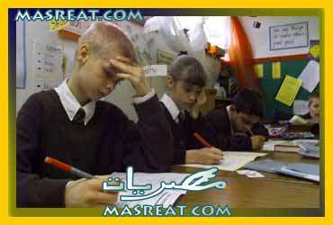 نتيجة الصف السادس الابتدائي 2013 محافظة القليوبية برقم الجلوس