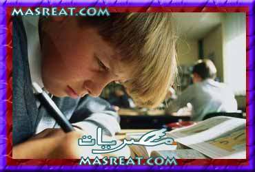 نتيجة الصف السادس الابتدائي 2013 محافظة الاسكندرية الترم الثاني