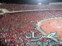 مباراة الاهلي وشبيبة القبائل الجزائري بتجهيزات خاصة والسفير المصري يتابع بنفسه