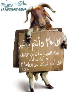 اضغط على الصورة لرؤيتها بالحجم الطبيعي