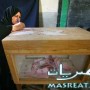 نتيجة انتخابات المرحلة الثالثة مجلس الشعب 2012 القليوبية
