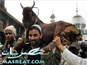 رسائل عيد الاضحى المبارك 2012