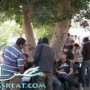 موقع نتيجة كلية التجارة جامعة القاهرة 2013 نتائج جميع الفرق الان