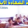 نتيجة الشهادة الابتدائية 2013 لطلاب محافظة القليوبية برقم الجلوس