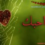 رسائل حب طويلة قوية جدا 2013 اجمل كلمات رسائل الحب رومانسية