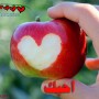 رسائل حب قوية قصيرة وطويلة 2013 رسائل حب وعشق مؤثرة جدا للحبيب