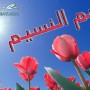 صور بمناسبة شم النسيم 2013 كروت ازهار - بيض ملون - مناظر طبيعية
