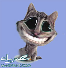 رسائل نكت جامدة رسائل نكت جامدة