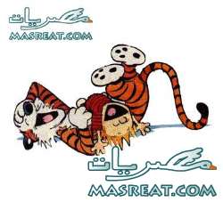نكت صعايدة فيديو نكت صعايدة فيديو