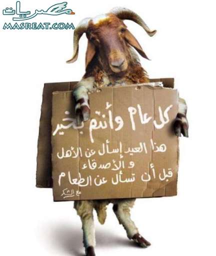 تهنئة بعيد الاضحى مسجات تهنئة بعيد الاضحى 2017