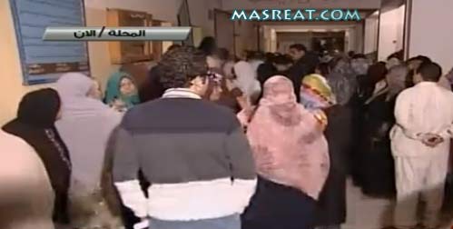 نتائج الاستفتاء على الدستور المصري نتائج الاستفتاء على الدستور المصري 2014
