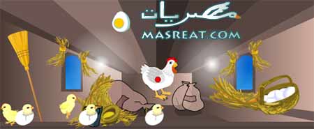 لعبة الفراخ لعبة الفراخ والبيض