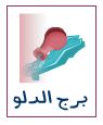 توقعات الابراج لعام 2019 برج الدلو: توقعات الابراج لعام 2019 برج الدلو:
