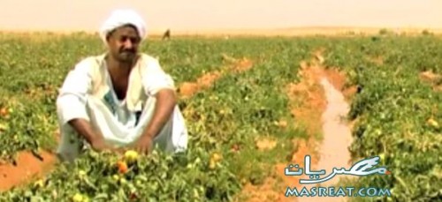ضريبة الارض الزراعية ضريبة الاراضي الزراعية