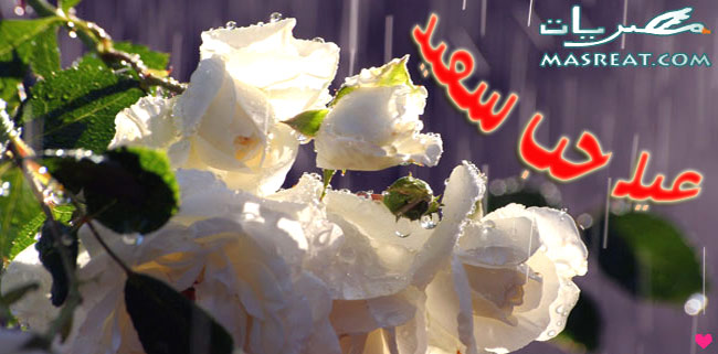 بطاقات عيد الحب متحركة صور بطاقات عيد الحب فلاش متحركة