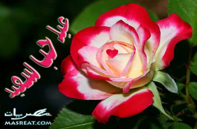 رسائل عيد الحب رومانسية للحبيب رسائل عيد الحب 2019 رومانسية للحبيب